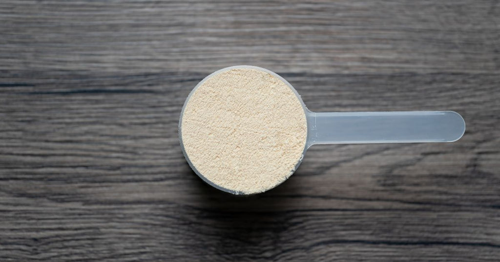 ¿Qué es la proteína de suero y por qué la eligen?