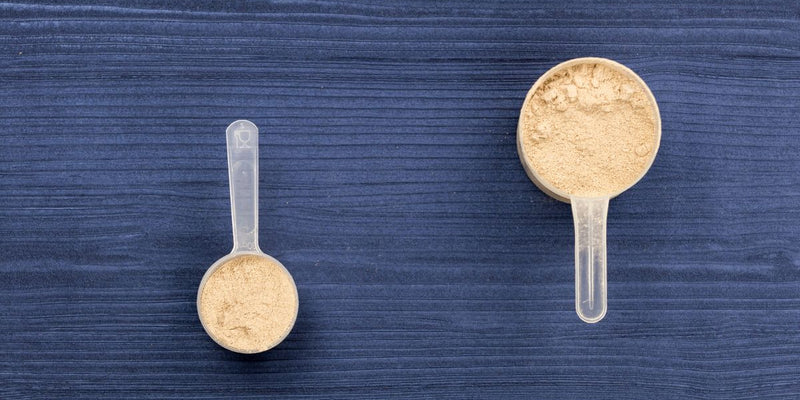 ¿Cuándo y cómo tomar proteína para sentirte mejor?
